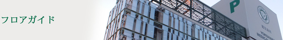 �t���A�K�C�h